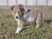 processed/4406ab10-84f0-4380-91a7-435651881f3a/listing/c7130d0e-55eb-4a6e-b1ca-815f6ce3cf5c/a0b384e1-9fcc-4a11-9635-2f8048be7d03