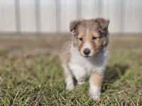 processed/4406ab10-84f0-4380-91a7-435651881f3a/listing/c7130d0e-55eb-4a6e-b1ca-815f6ce3cf5c/e9d6947e-40d5-40ea-9118-8acffb55aa64