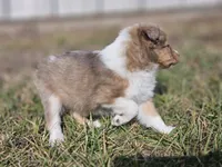 processed/4406ab10-84f0-4380-91a7-435651881f3a/listing/c7130d0e-55eb-4a6e-b1ca-815f6ce3cf5c/f5f33650-e894-4ac4-8b0a-d84e6ab7f4b8