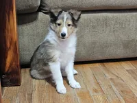 processed/4406ab10-84f0-4380-91a7-435651881f3a/listing/c83e5796-4dd5-498f-bf27-048c6638469a/6f285126-7a74-49fe-9e18-274ff6262da2