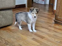 processed/4406ab10-84f0-4380-91a7-435651881f3a/listing/c83e5796-4dd5-498f-bf27-048c6638469a/88c004b6-e16d-4631-aa52-52cb8ab3ddde