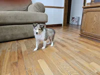 processed/4406ab10-84f0-4380-91a7-435651881f3a/listing/c83e5796-4dd5-498f-bf27-048c6638469a/c9aff84c-4dda-4c67-bcc9-6c6b45b51c96