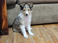 processed/4406ab10-84f0-4380-91a7-435651881f3a/listing/c83e5796-4dd5-498f-bf27-048c6638469a/ceaffbb5-f43a-4fc0-bab8-50ce1f8b15ff