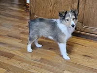 processed/4406ab10-84f0-4380-91a7-435651881f3a/listing/c83e5796-4dd5-498f-bf27-048c6638469a/ea629021-26ea-47ae-9637-67fe0957f45e