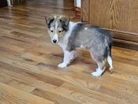 processed/4406ab10-84f0-4380-91a7-435651881f3a/listing/c83e5796-4dd5-498f-bf27-048c6638469a/eb8d3af9-cdbf-4d84-997d-d7c3a9229dd3