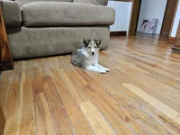 processed/4406ab10-84f0-4380-91a7-435651881f3a/listing/c83e5796-4dd5-498f-bf27-048c6638469a/f8a24268-b1fa-4ac1-b784-71b2e0bd1da3