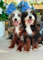 processed/440c295f-ad15-422e-8778-8c882c5708cf/listing/f36974fd-a24b-44e0-9544-209ce7da22d6/5adef051-50dc-4106-b88b-5090d4595fd6