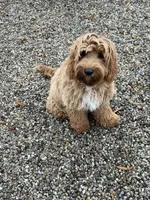 processed/4416ac84-232a-41ab-8c2e-1519b8fd2fea/listing/d1e81f8f-323c-4a9d-b589-6c5e3c4c6993/3d92f2d0-a231-4790-b10e-13af814336a5