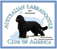 processed/4416ac84-232a-41ab-8c2e-1519b8fd2fea/listing/d1e81f8f-323c-4a9d-b589-6c5e3c4c6993/6b1a9b9d-64dd-4209-9470-45cb54a887b0