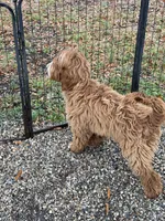 processed/4416ac84-232a-41ab-8c2e-1519b8fd2fea/listing/d1e81f8f-323c-4a9d-b589-6c5e3c4c6993/861ed738-b865-46b8-bcea-f921659d991c