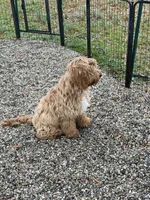 processed/4416ac84-232a-41ab-8c2e-1519b8fd2fea/listing/d1e81f8f-323c-4a9d-b589-6c5e3c4c6993/964f737c-a527-497a-b5c5-b05a8b5e7838