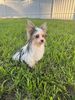 processed/44259715-ba82-4a8c-9b1a-20930fa51108/facility/0fd7515b-b405-4a20-85ae-c995c461faf2