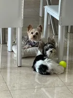 processed/44259715-ba82-4a8c-9b1a-20930fa51108/facility/5c699bc7-a0cc-411c-a3db-b5f3fad48c5f