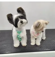 processed/44259715-ba82-4a8c-9b1a-20930fa51108/facility/e6706c6f-03fb-49fd-8f24-e6323fd83350