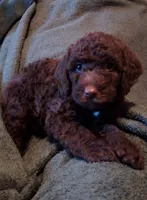 processed/4426ee51-2784-48f3-b722-837cedda2df2/listing/302b1c43-a2a7-4463-8eb2-d07b7139ebe1/478cc3cc-87fa-4c62-9a7e-e9df74535add