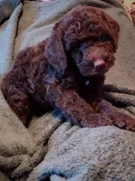 processed/4426ee51-2784-48f3-b722-837cedda2df2/listing/302b1c43-a2a7-4463-8eb2-d07b7139ebe1/57b84787-0882-4372-8ffe-e395f6a5d931