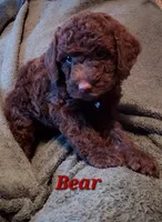 processed/4426ee51-2784-48f3-b722-837cedda2df2/listing/302b1c43-a2a7-4463-8eb2-d07b7139ebe1/e5da7f0c-b290-42f0-a8b3-4dbd9e282e00