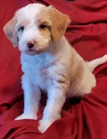 processed/4426ee51-2784-48f3-b722-837cedda2df2/listing/a2da1661-265b-4db1-b660-b5e376c50dd9/8853394b-b663-474d-a201-0b876643e1ce