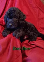 processed/4426ee51-2784-48f3-b722-837cedda2df2/listing/efc73369-fb37-470c-8f0a-72ab80235814/e6c957b6-9eaf-44c3-aec7-0f676b2795d2