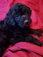 processed/4426ee51-2784-48f3-b722-837cedda2df2/listing/efc73369-fb37-470c-8f0a-72ab80235814/ef24a1bf-d25e-4f71-8db5-3d1224f0b74c