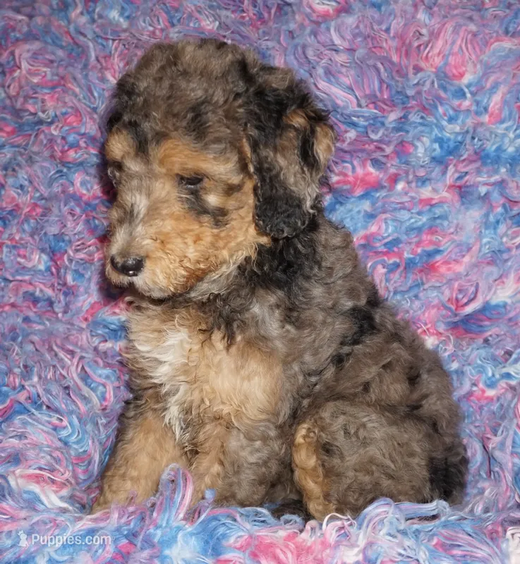 MANY COLORS COMING SOON