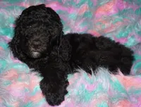 processed/4434b3f3-4a36-4f2e-903b-aea44c2f2ae7/listing/07a46920-e1bb-412e-8f8c-f69cc2524d03/0c09348e-4def-4763-a80d-8ccf9510d539