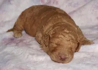 processed/4434b3f3-4a36-4f2e-903b-aea44c2f2ae7/listing/0a1c4a6b-e5fc-4b0f-b4b0-e8243ce2b0fc/013c48e9-79a8-451f-88ca-0af46c2dae4a