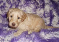 processed/4434b3f3-4a36-4f2e-903b-aea44c2f2ae7/listing/760b5f7f-b2c3-46ec-ab68-5ea902eea2da/82f5bd83-1281-419c-bd03-49cdaaf191c9