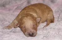 processed/4434b3f3-4a36-4f2e-903b-aea44c2f2ae7/listing/821ed675-1432-4bf6-b58f-756e5b56584e/a6f96cc9-4a01-4cd1-be6b-efc6c2a6b1b7