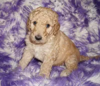 processed/4434b3f3-4a36-4f2e-903b-aea44c2f2ae7/listing/821ed675-1432-4bf6-b58f-756e5b56584e/c1a81993-3b5c-472d-846b-81716f892aed