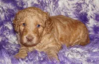 processed/4434b3f3-4a36-4f2e-903b-aea44c2f2ae7/listing/c54894e9-a196-471d-8034-57692fdb180b/d67fe833-3376-4f17-b4fc-96fbc2fc6320