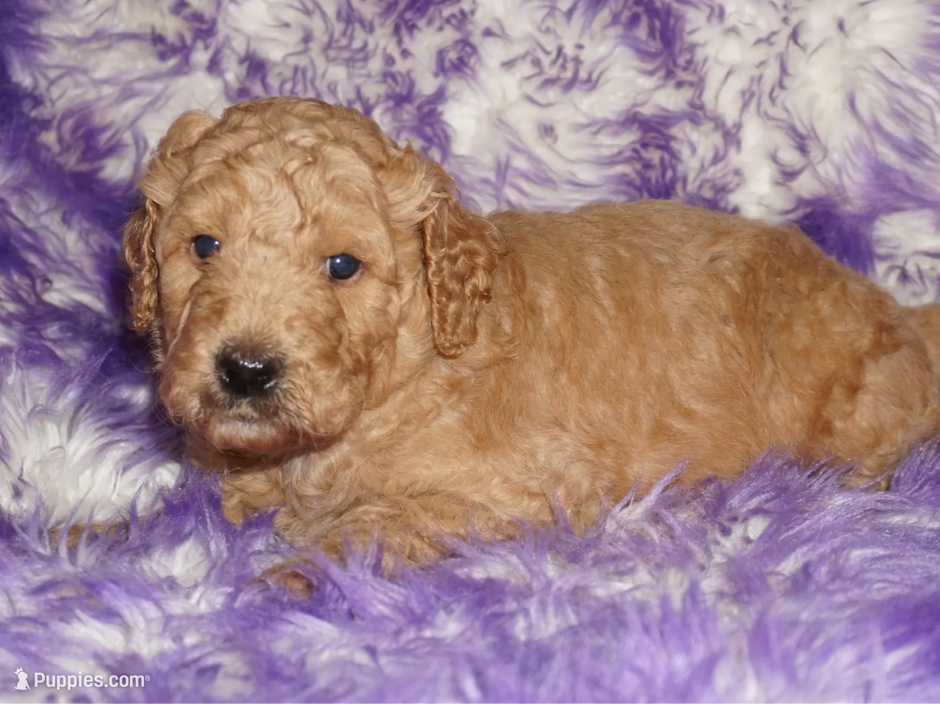 processed/4434b3f3-4a36-4f2e-903b-aea44c2f2ae7/listing/f35b2853-fb8d-4f4b-b24b-95c4db650304/efd7676a-293f-4b4a-a092-773756352d58