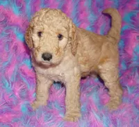 processed/4434b3f3-4a36-4f2e-903b-aea44c2f2ae7/listing/f45448f8-2406-414d-b335-1ecc92e77740/5d8b3964-979b-4204-b5bc-ad30b48242de