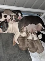 processed/44377915-9ae9-463a-a60b-6b75e6c162fa/facility/0a935f71-b772-48f1-ba9c-a661adc3e7d6