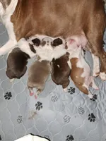 processed/44377915-9ae9-463a-a60b-6b75e6c162fa/facility/31aeae5d-866c-4c52-adf3-00b983a3c573