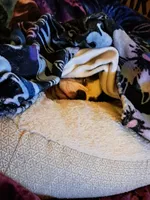 processed/44377915-9ae9-463a-a60b-6b75e6c162fa/facility/4ea95a35-9458-4746-a571-ed157073990b