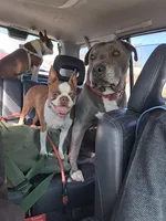 processed/44377915-9ae9-463a-a60b-6b75e6c162fa/facility/88031919-e8ca-4efd-9204-c741dd1c539f