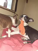 processed/44377915-9ae9-463a-a60b-6b75e6c162fa/facility/a283f30b-5bd7-4858-85a1-cc3d04f56731