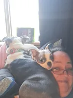 processed/44377915-9ae9-463a-a60b-6b75e6c162fa/facility/f7469425-91e5-42c8-a4ef-e1ac5f9fada2