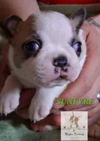 processed/44377915-9ae9-463a-a60b-6b75e6c162fa/listing/4af76653-2c6c-43cd-95ea-694aa1916ecf/0ae745a0-6d45-4f48-997f-16899fc951a8