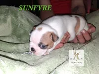 processed/44377915-9ae9-463a-a60b-6b75e6c162fa/listing/4af76653-2c6c-43cd-95ea-694aa1916ecf/1721a9ca-e441-447d-a087-8aa631cd0b21