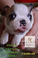 processed/44377915-9ae9-463a-a60b-6b75e6c162fa/listing/4af76653-2c6c-43cd-95ea-694aa1916ecf/1ba4f32c-6935-4f6f-84cb-6f11a79cb52d