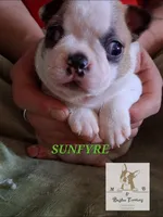 processed/44377915-9ae9-463a-a60b-6b75e6c162fa/listing/4af76653-2c6c-43cd-95ea-694aa1916ecf/1f6a0d94-fa4e-4f0c-acfe-c3d175b467ad