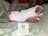 processed/44377915-9ae9-463a-a60b-6b75e6c162fa/listing/4af76653-2c6c-43cd-95ea-694aa1916ecf/79cd029b-8f76-43d6-a54c-543b77eea73a