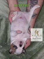 processed/44377915-9ae9-463a-a60b-6b75e6c162fa/listing/4af76653-2c6c-43cd-95ea-694aa1916ecf/a0752c14-0a01-4a50-98ab-3579dc0c047a