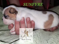 processed/44377915-9ae9-463a-a60b-6b75e6c162fa/listing/4af76653-2c6c-43cd-95ea-694aa1916ecf/a9b50d38-521f-4ec5-ad2b-898e8b4df8db