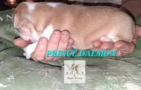 processed/44377915-9ae9-463a-a60b-6b75e6c162fa/listing/e1053969-4507-43ce-adf1-df7aca37b72d/30a4cb4e-d511-4ade-916e-f6d81c12fee3