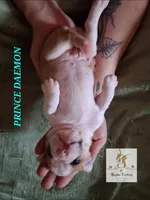 processed/44377915-9ae9-463a-a60b-6b75e6c162fa/listing/e1053969-4507-43ce-adf1-df7aca37b72d/5d428eb2-e895-44de-8fa0-140c4c4b6e6b