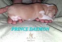 processed/44377915-9ae9-463a-a60b-6b75e6c162fa/listing/e1053969-4507-43ce-adf1-df7aca37b72d/909d948b-156b-45c7-9c2b-f68235db83b1