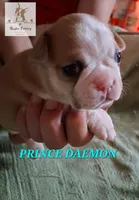 processed/44377915-9ae9-463a-a60b-6b75e6c162fa/listing/e1053969-4507-43ce-adf1-df7aca37b72d/9731d819-93d7-4454-885f-59708cee7fa1